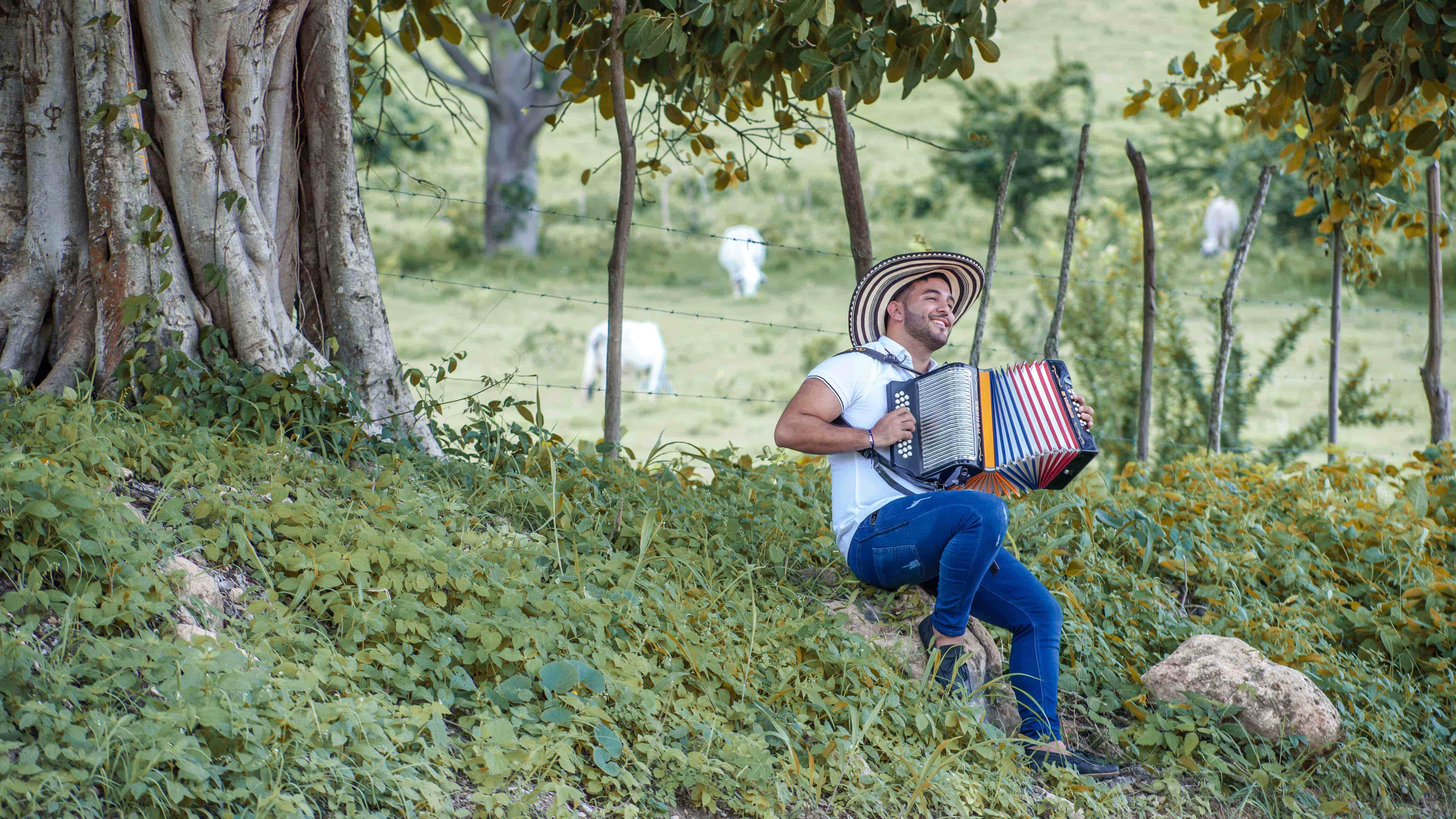 accordeonist in de natuur